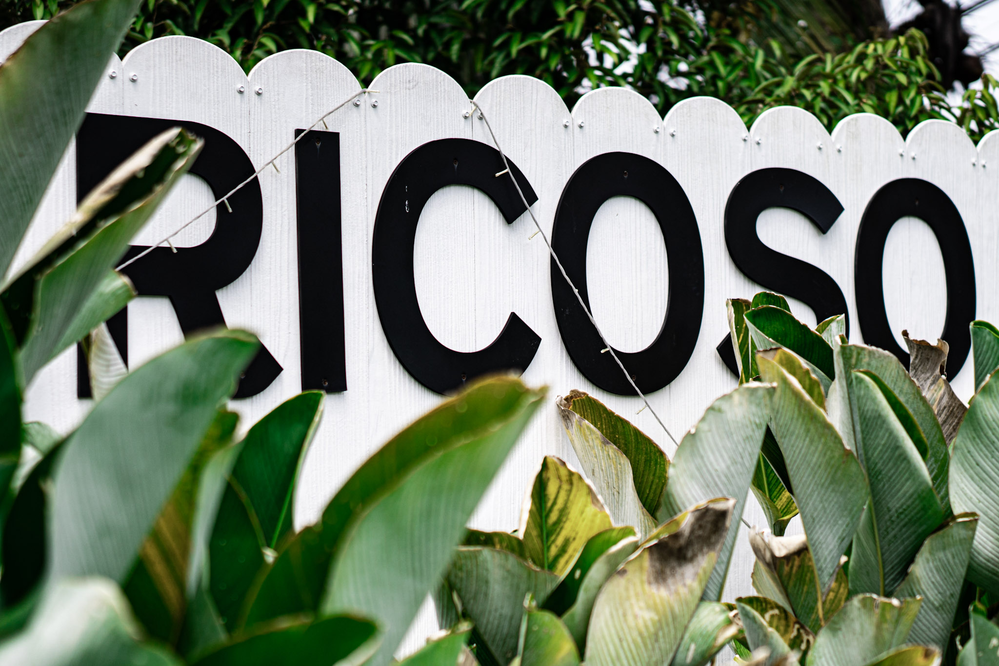 Ricoso Villa Background